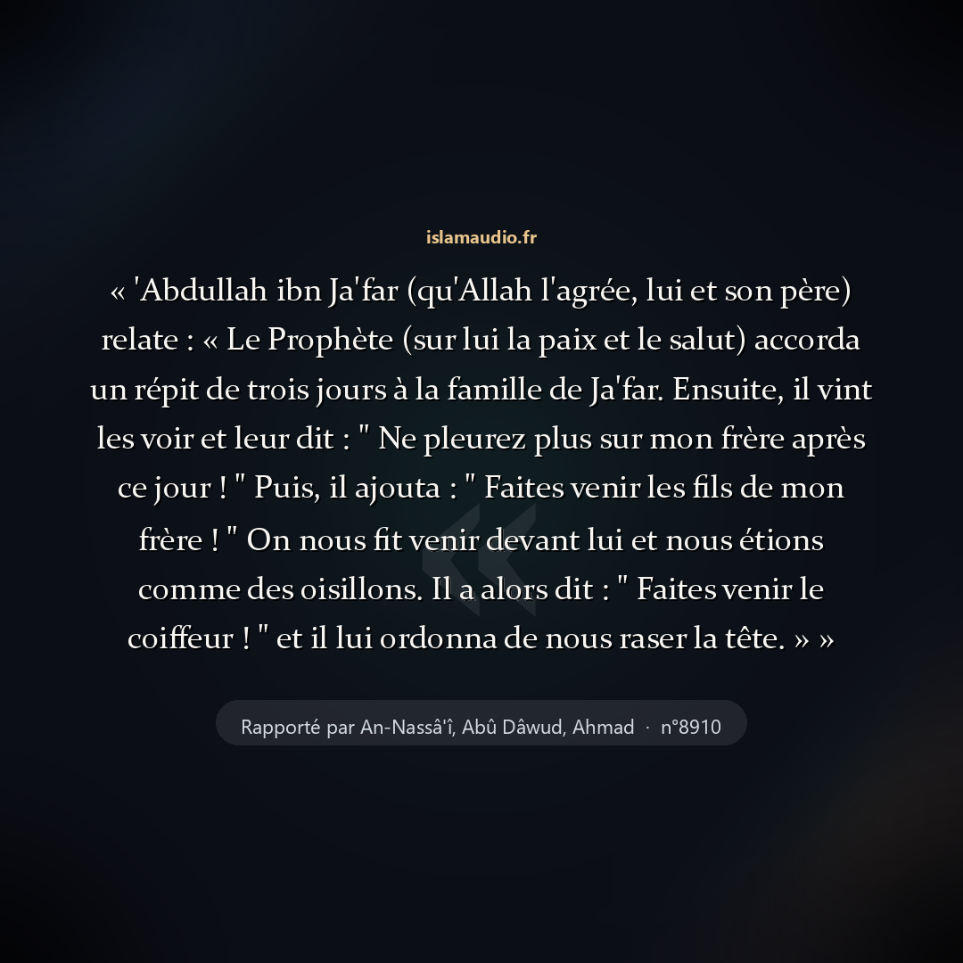 Aperçu du hadith