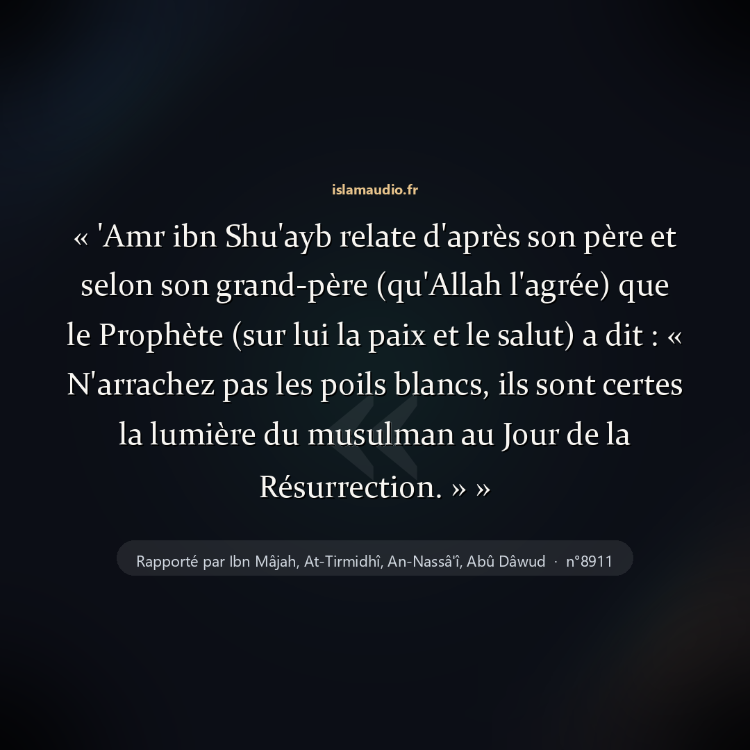 Aperçu du hadith