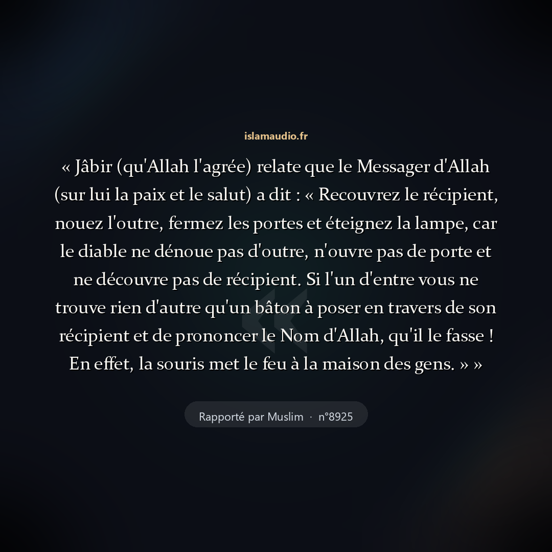 Aperçu du hadith