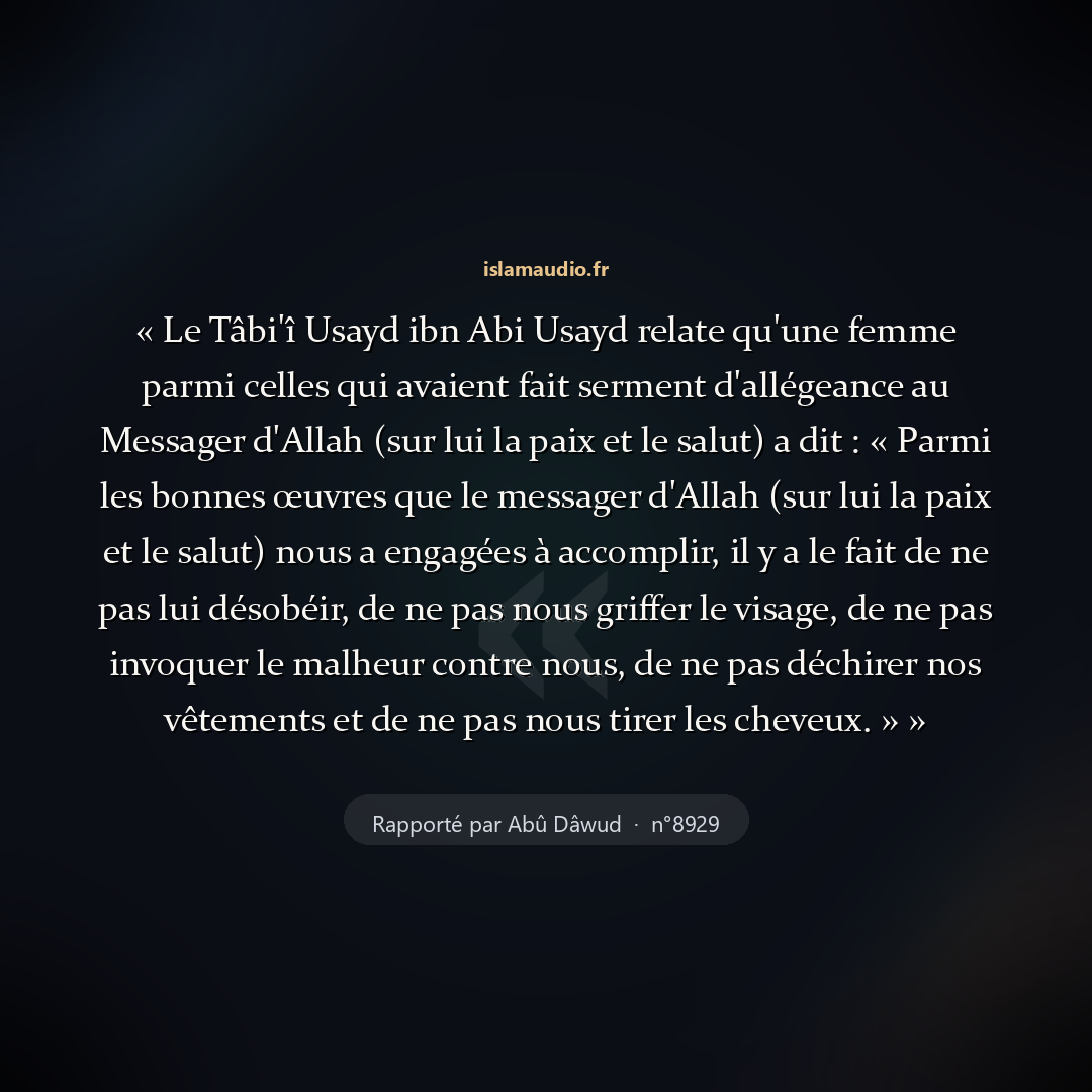 Aperçu du hadith