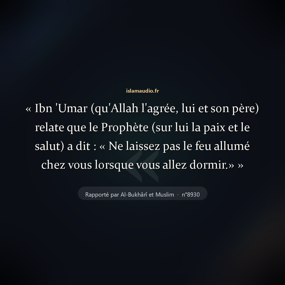 Aperçu du hadith