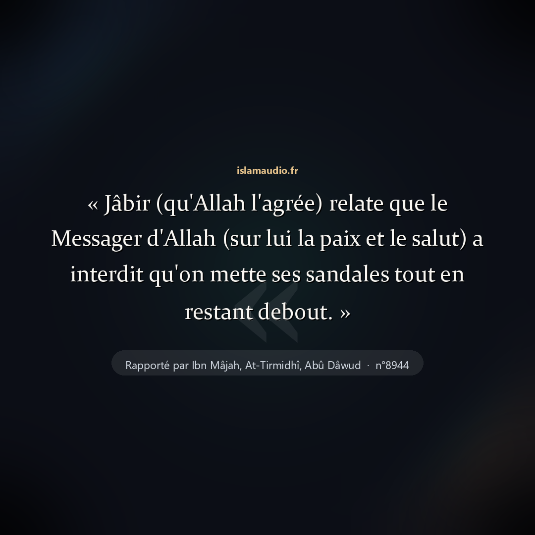 Aperçu du hadith