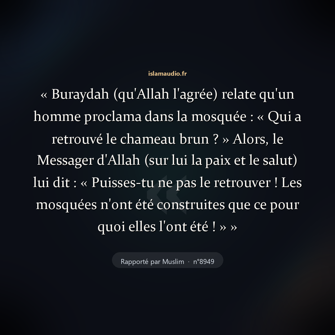 Aperçu du hadith