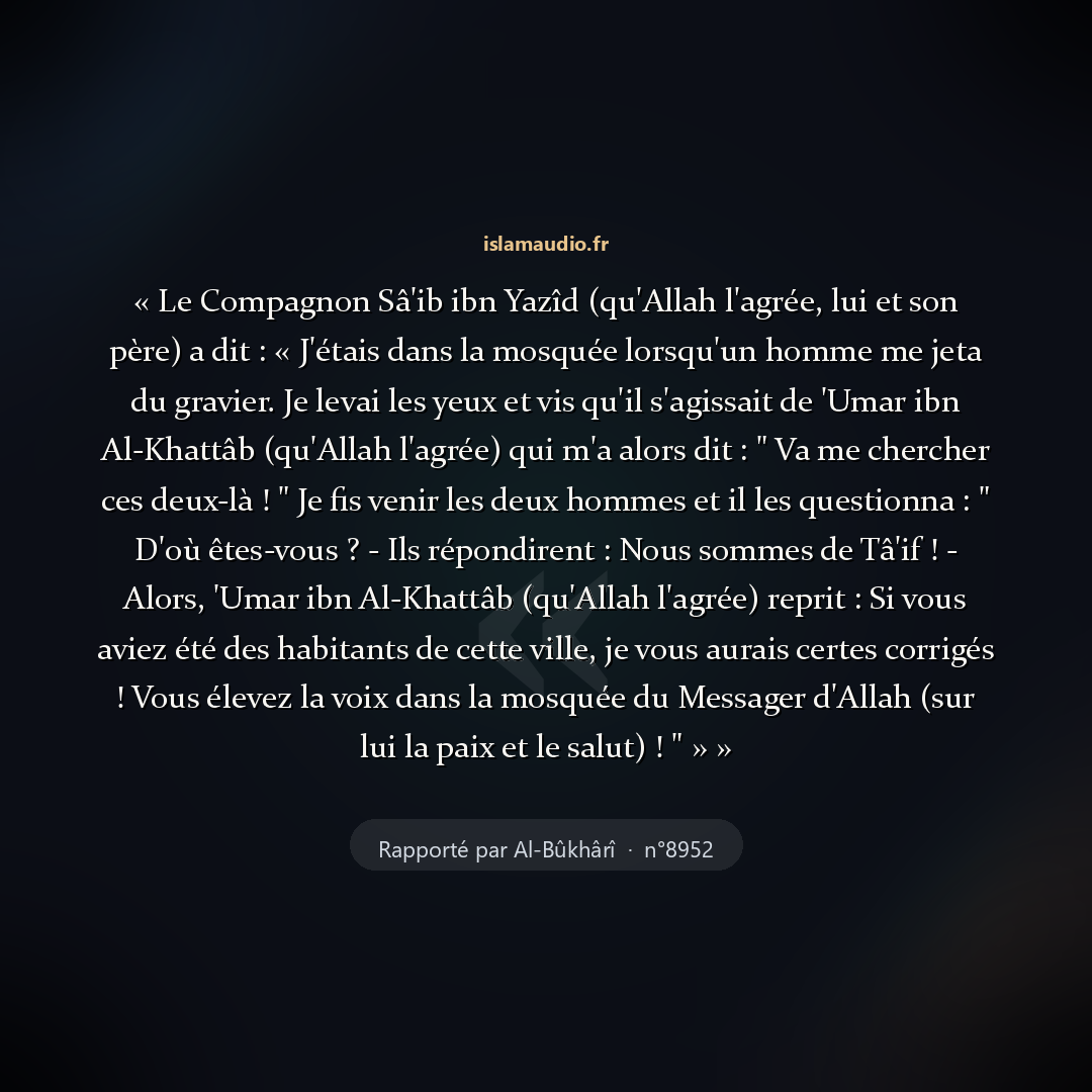 Aperçu du hadith