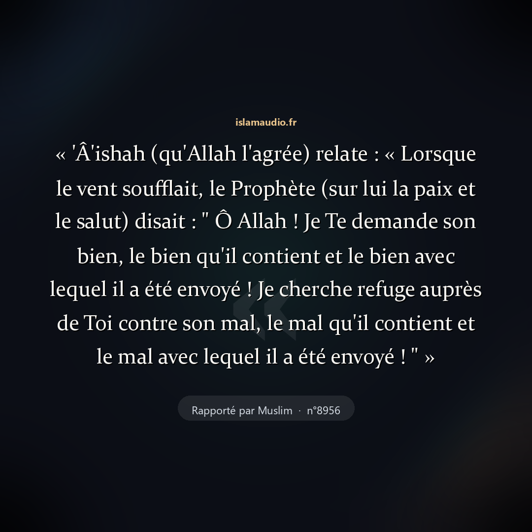Aperçu du hadith