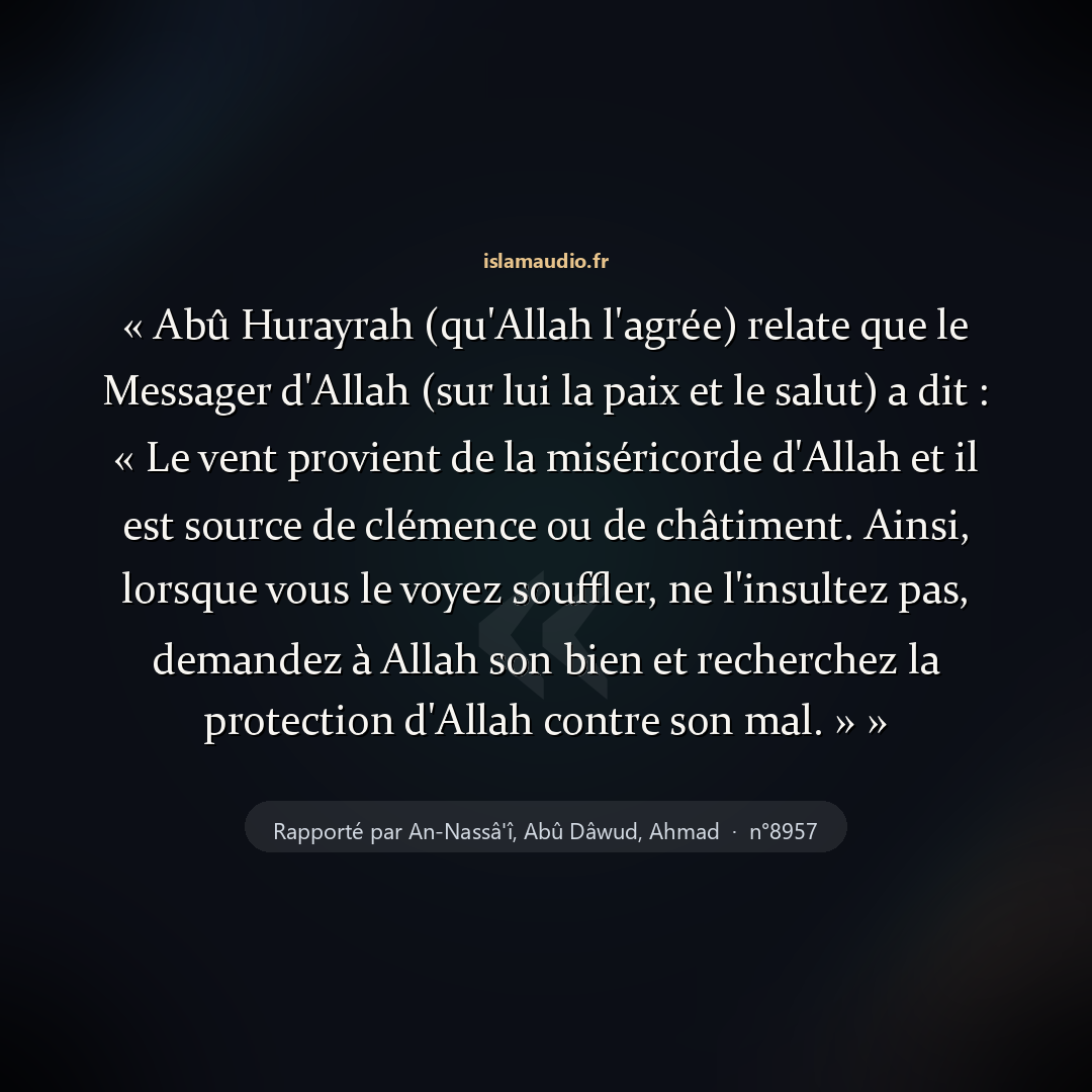 Aperçu du hadith