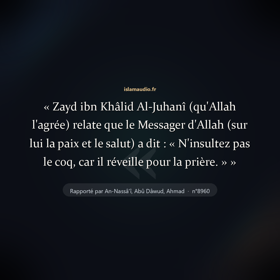 Aperçu du hadith