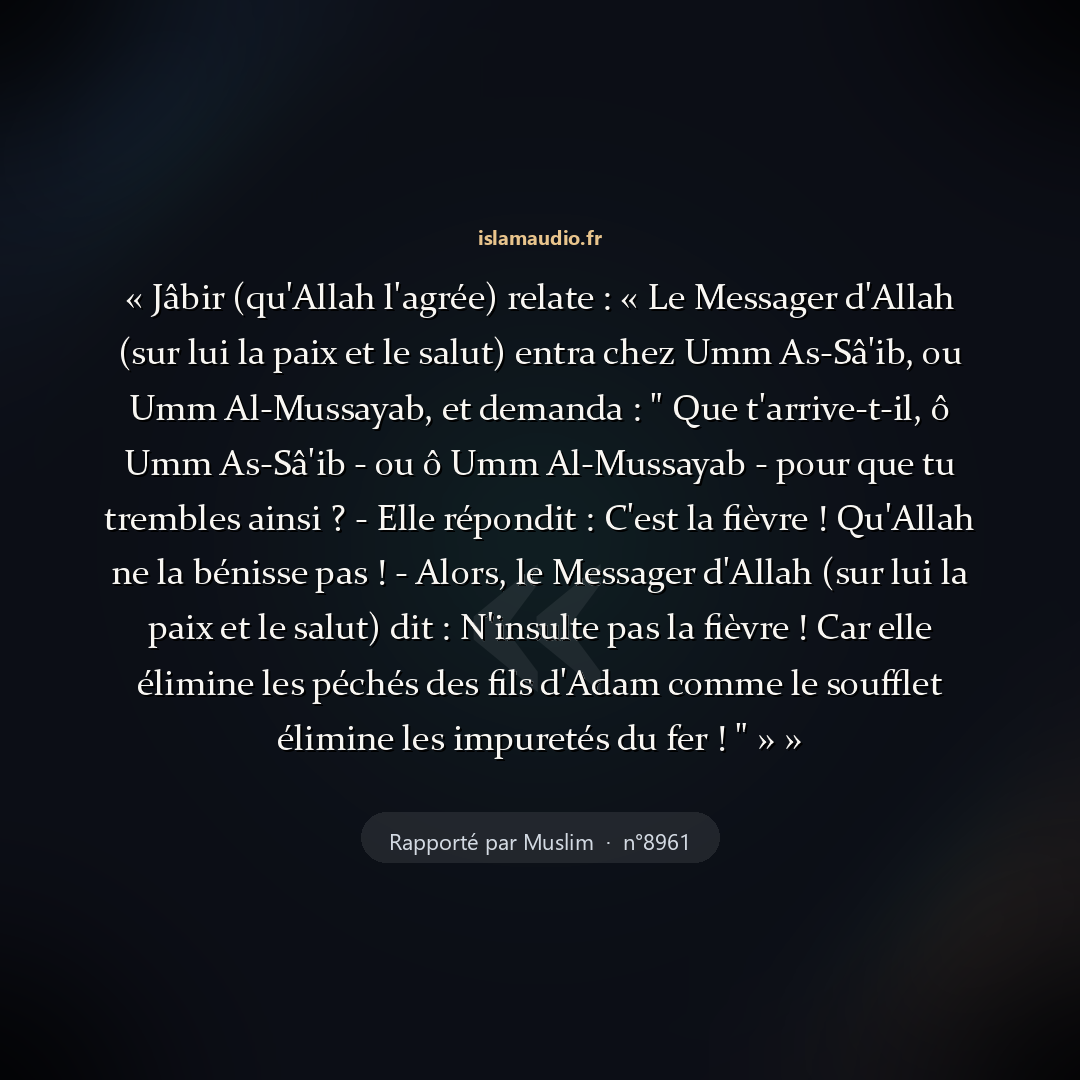 Aperçu du hadith